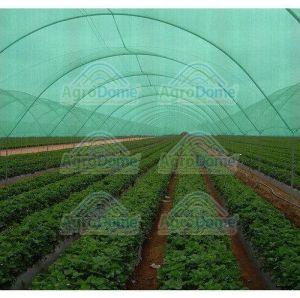 Green Shade Net House