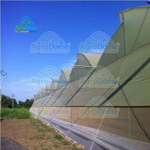 Hybrid Green House Structure for Carrot Farming