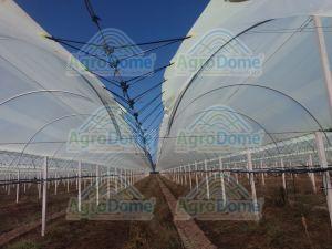 Shade Net House for Kiwi Orchard Structure