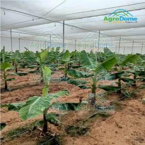 Low Cost Agricultural Green House