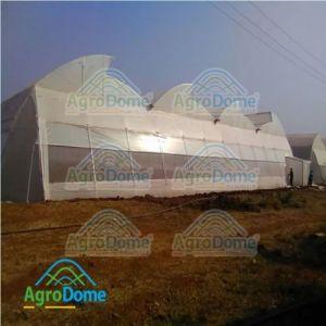 Multi Span Poly Tunnel Green House