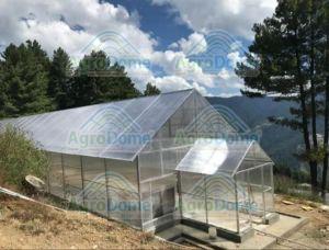 Polycarbonate Sheet Greenhouse