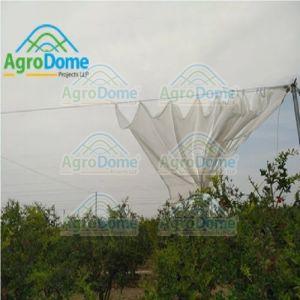 Shade Net House Structure for Orchards