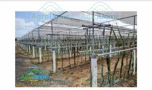 Shade Net House For Dragon Fruit Orchards