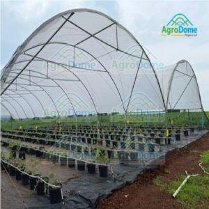 Shade Net House for Blueberry & Raspberry Orchards