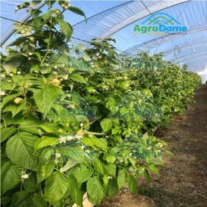 Shade Net House for Fruit Farming