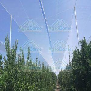 Shade Net House for Orange Orchards