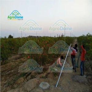 Shade Net House For Pomegranate Orchards