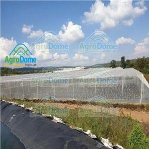 Shade Net House for Vegetable Farming