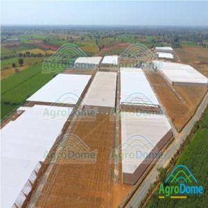 Single Layer Shade Net House