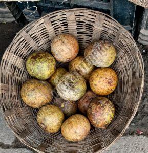 A Grade Brown Wood Apple