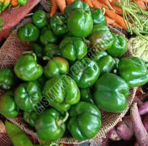 A Grade Fresh Green Capsicum