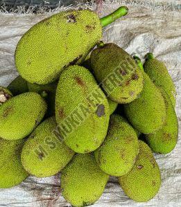 A Grade Fresh Jackfruit