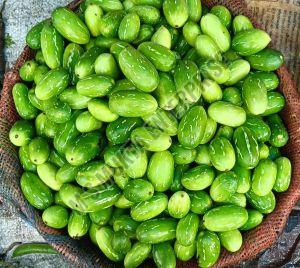 A Grade Green Ivy Gourd