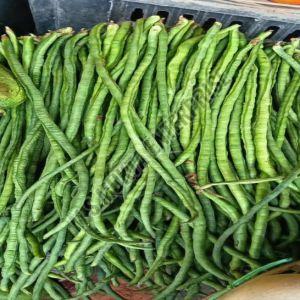 A Grade Green Long Asparagus Beans