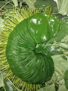 Sweet Betel Leaves