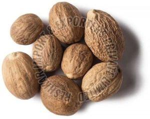 Dried Nutmeg Seeds