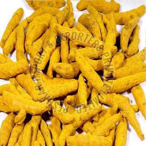 dried turmeric finger