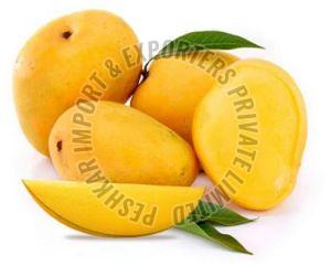 Fresh Alphonso Mango