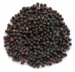 Malabar Black Pepper Seeds