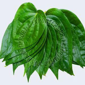 Tirur Betel Leaves