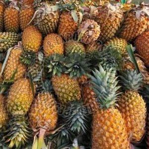 Vazhakulam Pineapple