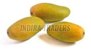 A Grade Fresh Dasheri Mango