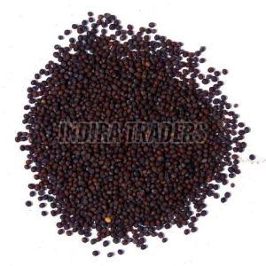 Brown Mustard Seeds
