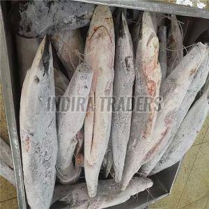 Frozen Sail Fish