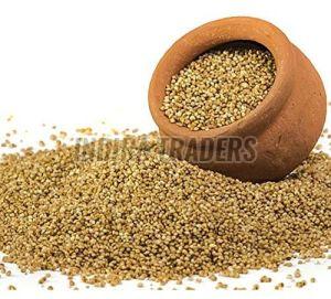 Kodo Millet Seeds