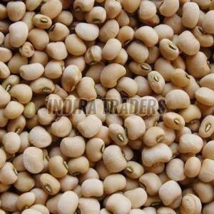 Natural White Cowpeas