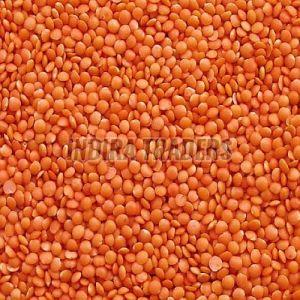Red Whole Masoor Dal