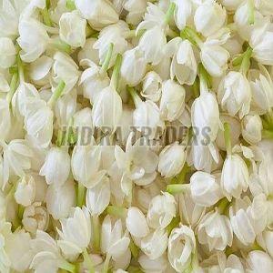 White Jasmine Flower