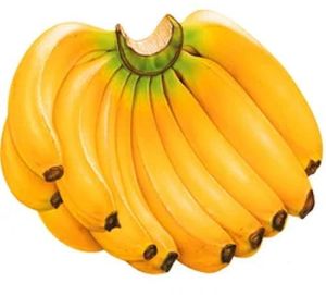 A Grade Yellow Banana