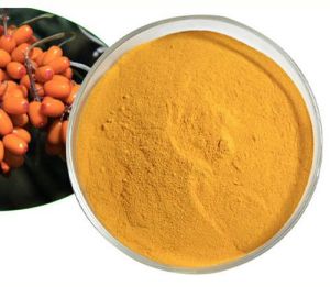 Freeze Dried Sea Buckthorn Powder