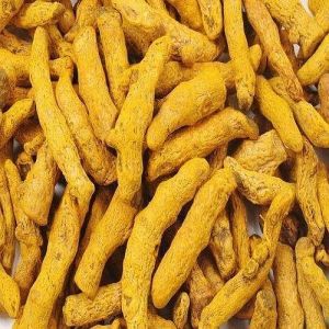 Polished Turmeric Finger