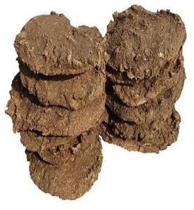Sun Dried Cow Dung Cake