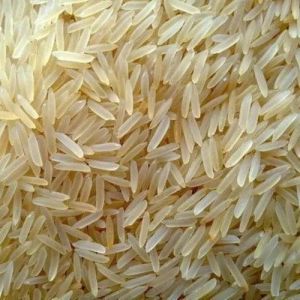 1509 Basmati Rice