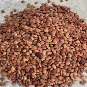 A Grade Brown Horse Gram