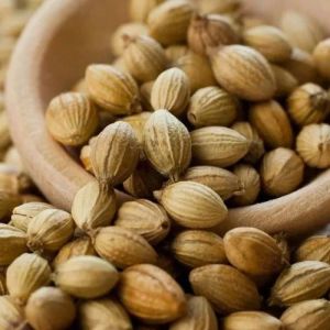 A Grade Coriander Seeds