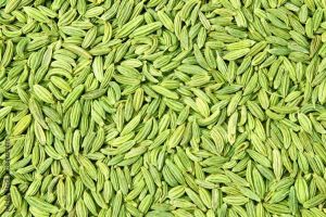 a Grade Fennel Seeds
