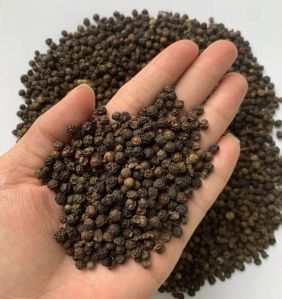 Black Pepper Seeds