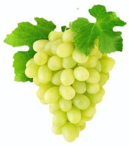 A Grade Fresh Green Grapes