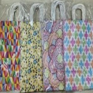 Printed Paper Gift Bag