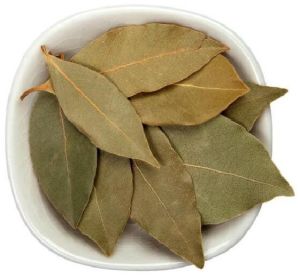 Dried Bay Leaf