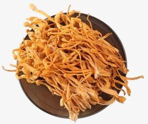 Dried Cordyceps Militaris