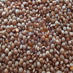 Brown Masoor Dal