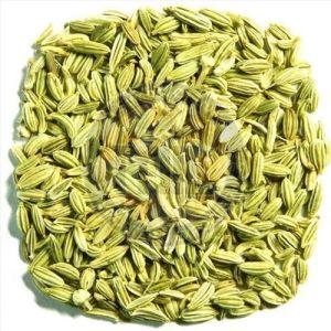 a Grade Fennel Seeds
