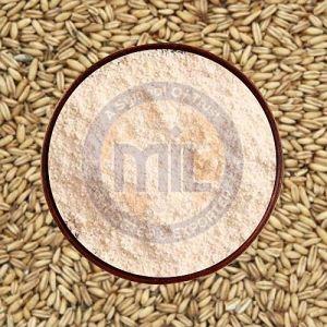 Barley Flour
