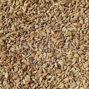 Premium Quality Ajwain Seeds